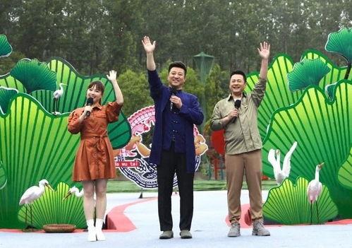 哈利克最新爆料视频,揭秘神秘事件内幕